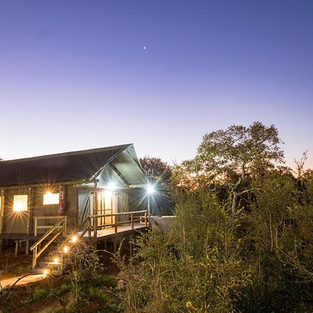 Nkuhlu Tented Camp スククザ エクステリア 写真