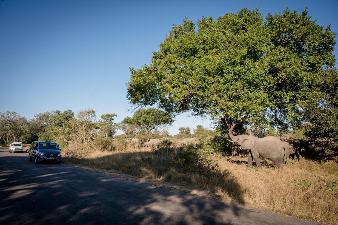 Nkuhlu Tented Camp スククザ エクステリア 写真
